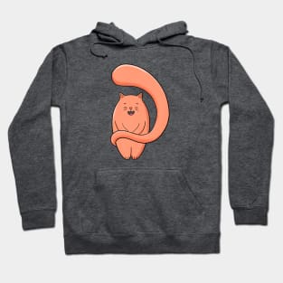 Satsuma the Orange, Big Tailed Cat Hoodie